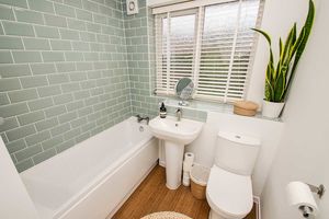 Photo 13- click for photo gallery